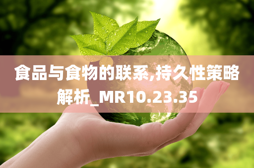 食品与食物的联系,持久性策略解析_MR10.23.35