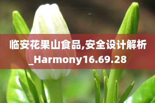 临安花果山食品,安全设计解析_Harmony16.69.28