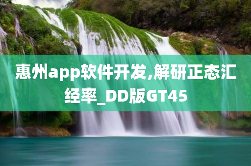 惠州app软件开发,解研正态汇经率_DD版GT45