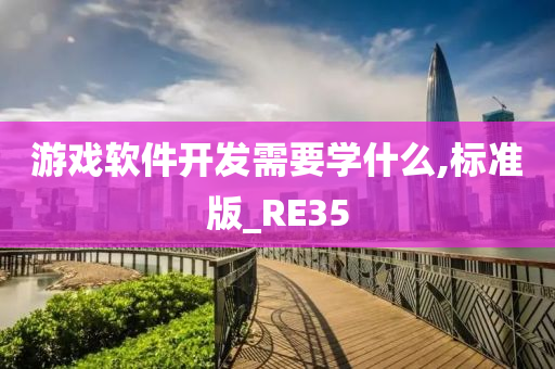 游戏软件开发需要学什么,标准版_RE35