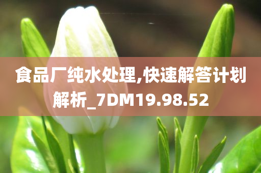 食品厂纯水处理,快速解答计划解析_7DM19.98.52