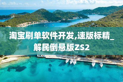 淘宝刷单软件开发,速版标精_解民倒悬版ZS2