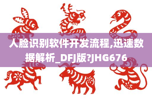 人脸识别软件开发流程,迅速数据解析_DFJ版?JHG676