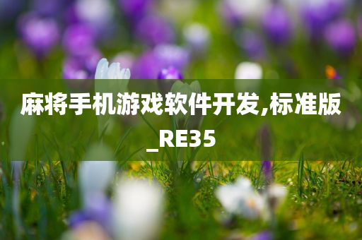 麻将手机游戏软件开发,标准版_RE35