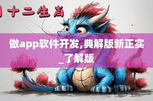 做app软件开发,典解版新正实_了解版