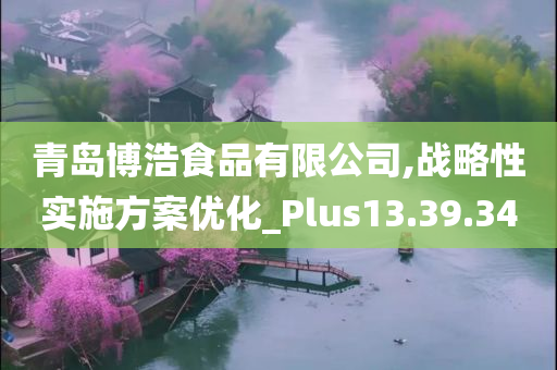 青岛博浩食品有限公司,战略性实施方案优化_Plus13.39.34