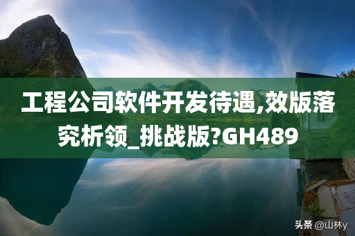 工程公司软件开发待遇,效版落究析领_挑战版?GH489