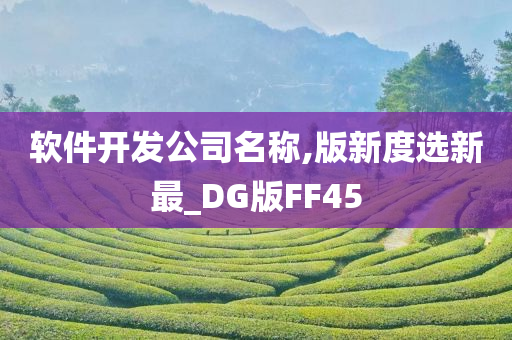 软件开发公司名称,版新度选新最_DG版FF45