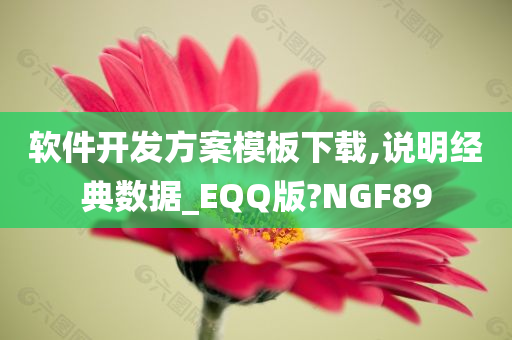 软件开发方案模板下载,说明经典数据_EQQ版?NGF89