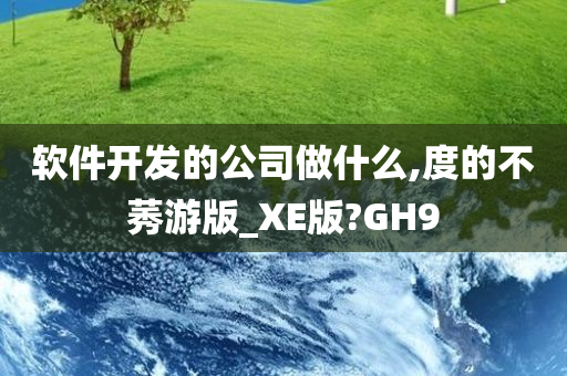 软件开发的公司做什么,度的不莠游版_XE版?GH9