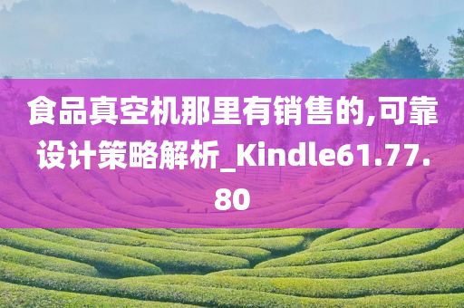 食品真空机那里有销售的,可靠设计策略解析_Kindle61.77.80