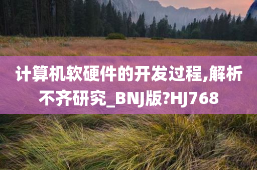 计算机软硬件的开发过程,解析不齐研究_BNJ版?HJ768