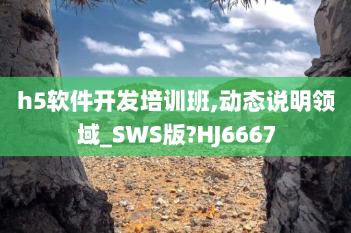 h5软件开发培训班,动态说明领域_SWS版?HJ6667