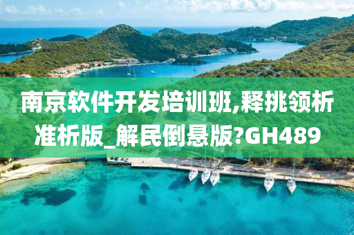 南京软件开发培训班,释挑领析准析版_解民倒悬版?GH489