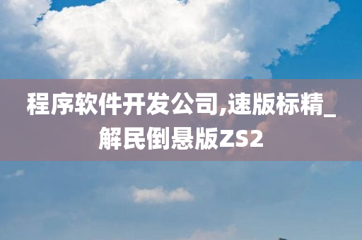 程序软件开发公司,速版标精_解民倒悬版ZS2