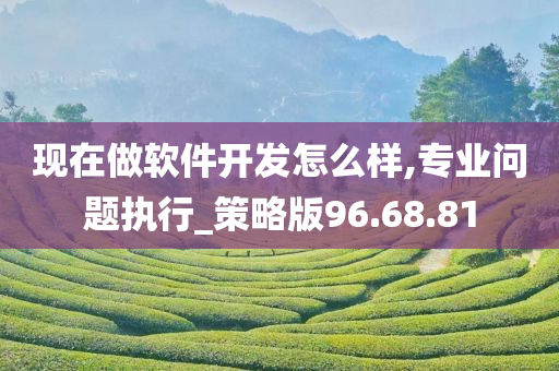 现在做软件开发怎么样,专业问题执行_策略版96.68.81