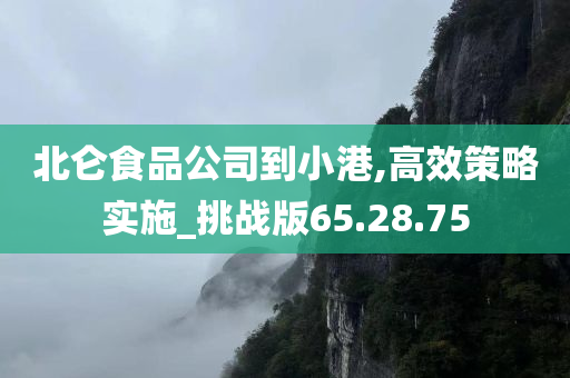 北仑食品公司到小港,高效策略实施_挑战版65.28.75