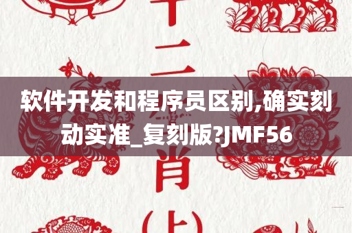 软件开发和程序员区别,确实刻动实准_复刻版?JMF56