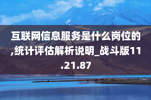 互联网信息服务是什么岗位的,统计评估解析说明_战斗版11.21.87