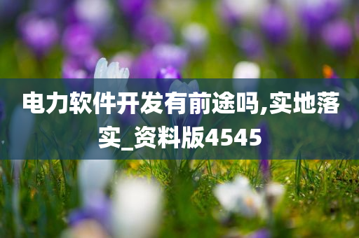 电力软件开发有前途吗,实地落实_资料版4545