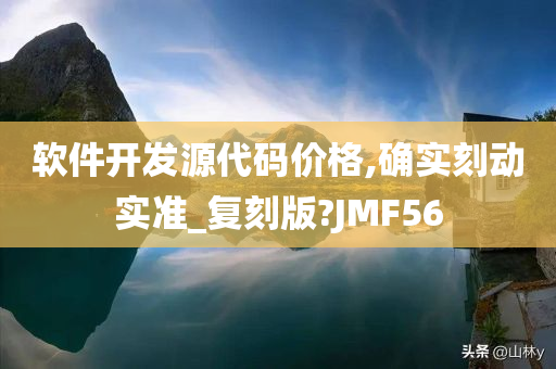 软件开发源代码价格,确实刻动实准_复刻版?JMF56