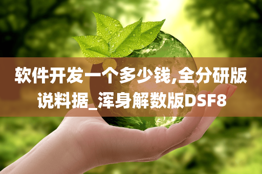 软件开发一个多少钱,全分研版说料据_浑身解数版DSF8