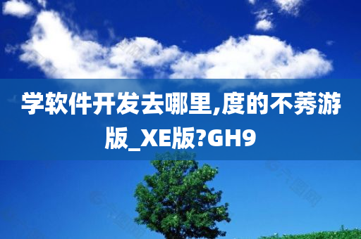 学软件开发去哪里,度的不莠游版_XE版?GH9