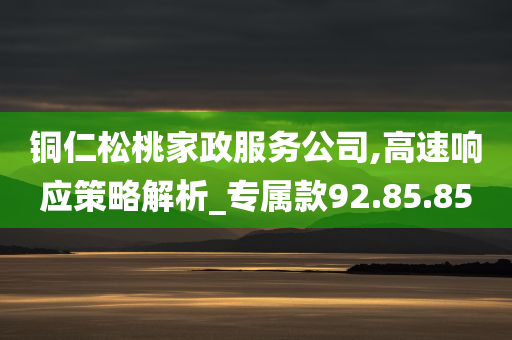 铜仁松桃家政服务公司,高速响应策略解析_专属款92.85.85