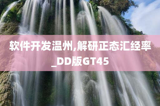 软件开发温州,解研正态汇经率_DD版GT45