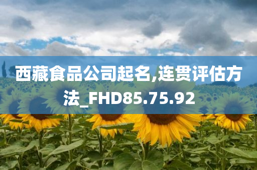 西藏食品公司起名,连贯评估方法_FHD85.75.92