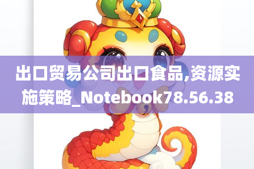 出口贸易公司出口食品,资源实施策略_Notebook78.56.38