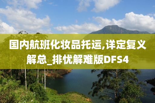 国内航班化妆品托运,详定复义解总_排忧解难版DFS4