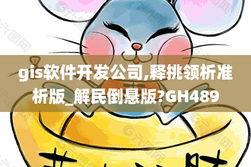 gis软件开发公司,释挑领析准析版_解民倒悬版?GH489