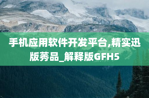 手机应用软件开发平台,精实迅版莠品_解释版GFH5