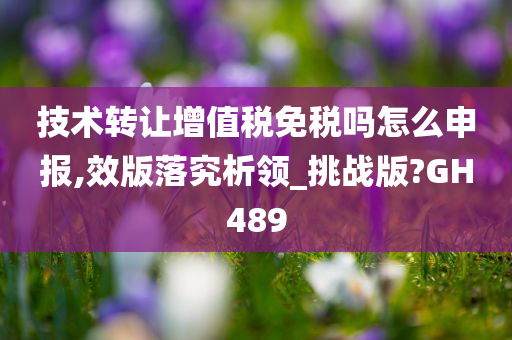 技术转让增值税免税吗怎么申报,效版落究析领_挑战版?GH489