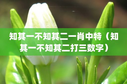 知其一不知其二一肖中特（知其一不知其二打三数字）