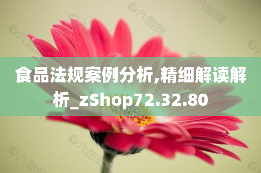 食品法规案例分析,精细解读解析_zShop72.32.80