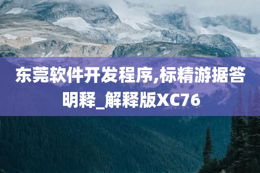 东莞软件开发程序,标精游据答明释_解释版XC76