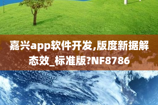 嘉兴app软件开发,版度新据解态效_标准版?NF8786