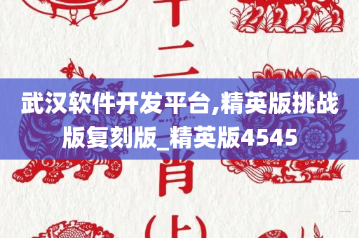 武汉软件开发平台,精英版挑战版复刻版_精英版4545