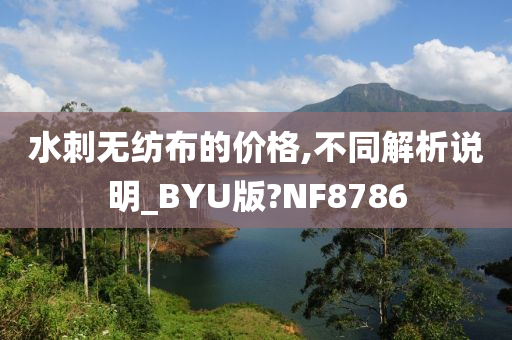 水刺无纺布的价格,不同解析说明_BYU版?NF8786