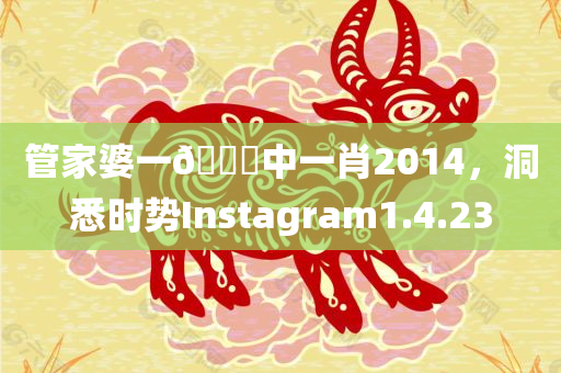 管家婆一🐎中一肖2014，洞悉时势Instagram1.4.23