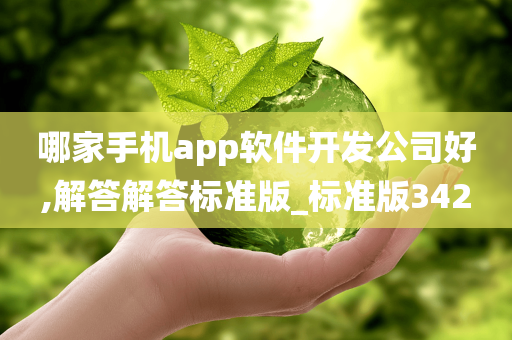 哪家手机app软件开发公司好,解答解答标准版_标准版342