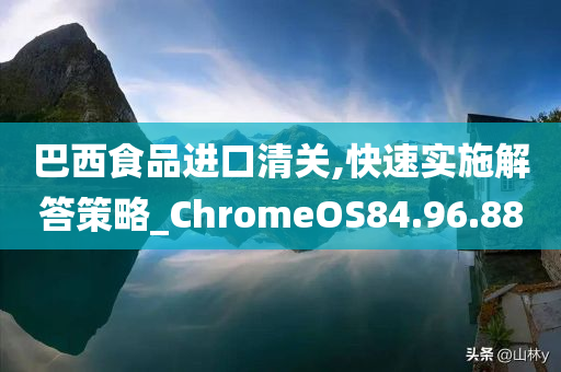 巴西食品进口清关,快速实施解答策略_ChromeOS84.96.88