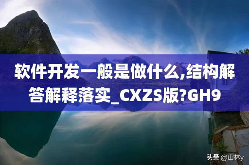 软件开发一般是做什么,结构解答解释落实_CXZS版?GH9