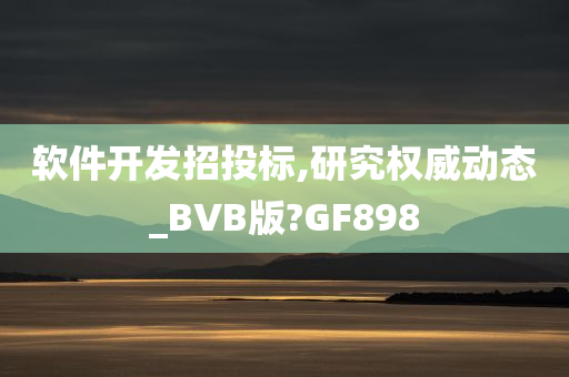 软件开发招投标,研究权威动态_BVB版?GF898