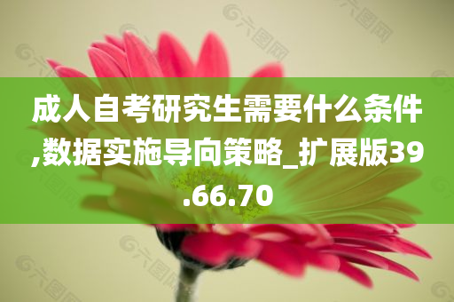 成人自考研究生需要什么条件,数据实施导向策略_扩展版39.66.70