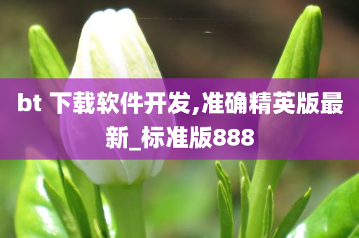 bt 下载软件开发,准确精英版最新_标准版888