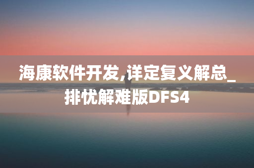 海康软件开发,详定复义解总_排忧解难版DFS4