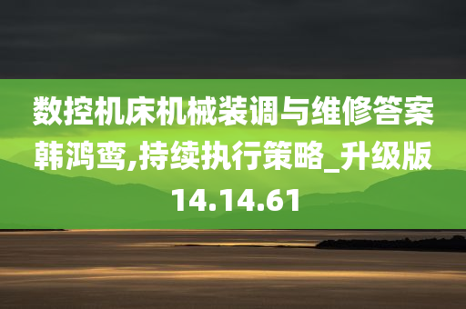 数控机床机械装调与维修答案韩鸿鸾,持续执行策略_升级版14.14.61